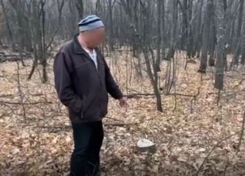 Житель Тюльгана незаконно срубил одно дерево дуба Житель Тюльгана незаконно срубил одно дерево дуба