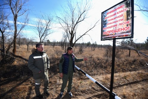 Тысячи деревьев для сталинской лесополосы: в Ташлинском районе сажают молодые сосны