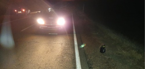 В Переволоцком районе в ДТП пострадал пешеход