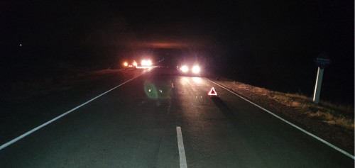 В Переволоцком районе в ДТП пострадал пешеход