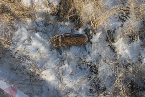 В Первомайском районе сотрудники полиции обеспечили охрану в месте обнаружения снарядов В Первомайском районе сотрудники полиции обеспечили охрану в месте обнаружения снарядов