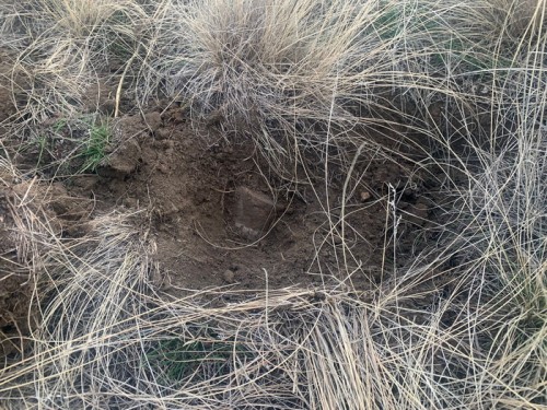 В Первомайском районе сотрудники полиции обеспечили охрану в месте обнаружения снарядов В Первомайском районе сотрудники полиции обеспечили охрану в месте обнаружения снарядов