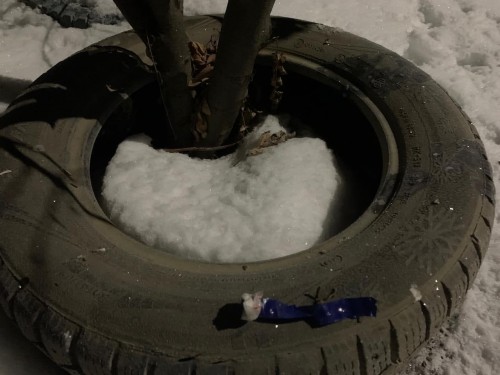 В Бузулуке оперативниками задержаны два наркокурьера из республики Башкортостан В Бузулуке оперативниками задержаны два наркокурьера из республики Башкортостан