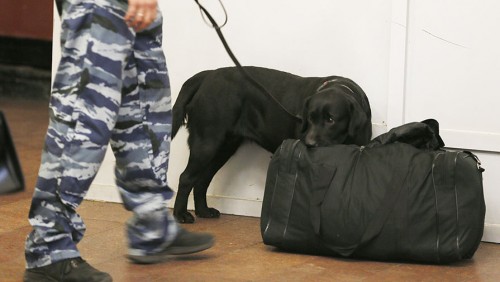 В Оренбурге рюкзак с вещами испугал сотрудников магазина «Пятерочка»