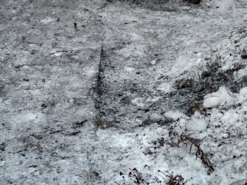 Сотрудники полиции Кувандыка работают на месте взрыва неизвестных предметов