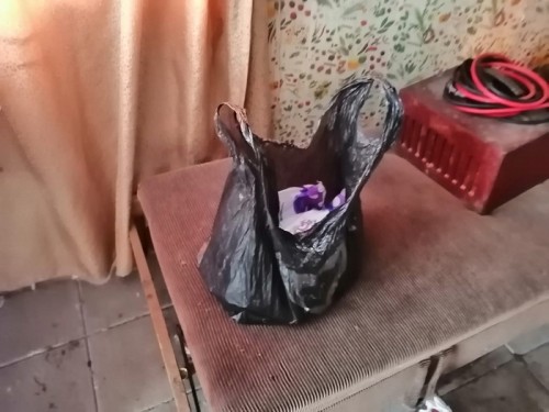 У жителя Соль-Илецка сотрудники полиции изъяли крупную партию марихуаны У жителя Соль-Илецка сотрудники полиции изъяли крупную партию марихуаны