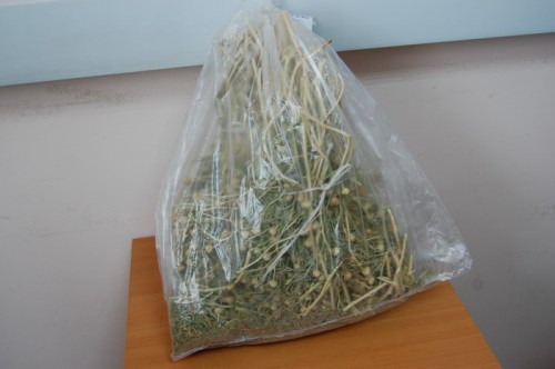 В Оренбургскую область через границу мужчина пытался провести наркотическую траву Исырык