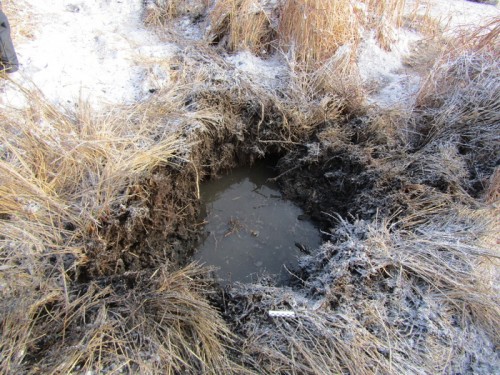 В Первомайском районе саперы уничтожили артиллерийский снаряд В Первомайском районе саперы уничтожили артиллерийский снаряд