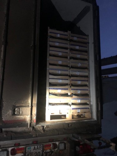 Таможня задержала 37 тонн санкционных польских груш Таможня задержала 37 тонн санкционных польских груш