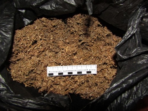 В Первомайском районе у местного жителя изъята марихуана в крупном размере