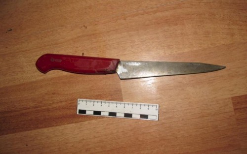 Убийцу мужчины на Рощинской Оренбурга ждет суд Убийцу мужчины на Рощинской Оренбурга ждет суд