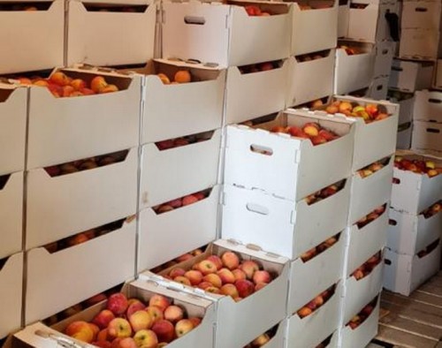 В Орске таможенники изъяли 15 тонн фруктов сомнительного происхождения В Орске таможенники изъяли 15 тонн фруктов сомнительного происхождения