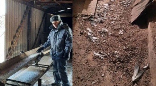 Россельхознадзор за ненадлежащее хранение зерна оштрафовало предприятие Россельхознадзор за ненадлежащее хранение зерна оштрафовало предприятие