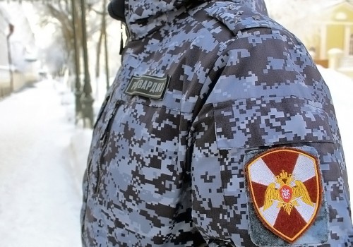 Росгвардейцы задержали двух воришек в одном гипермаркете Росгвардейцы задержали двух воришек в одном гипермаркете