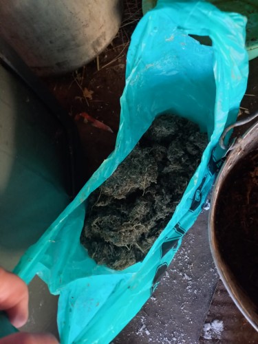 Красногвардеец собрал, приготовил, употреблял и хранил наркотические вещества