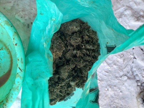 Красногвардеец собрал, приготовил, употреблял и хранил наркотические вещества