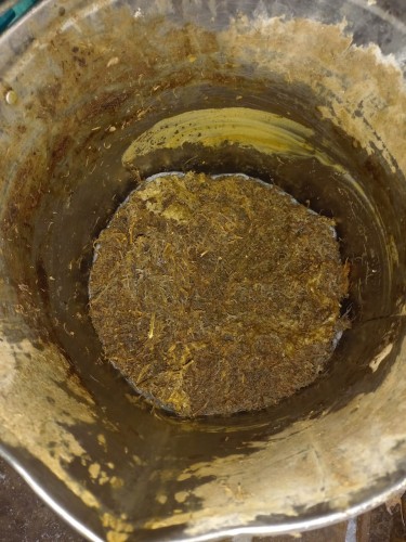 Красногвардеец собрал, приготовил, употреблял и хранил наркотические вещества