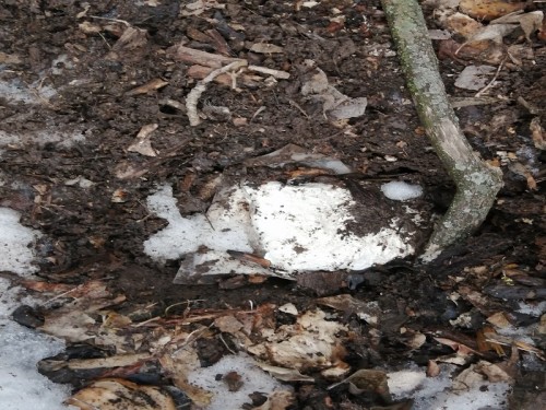 В Оренбурге окончено уголовное дело по сбыту крупной партии наркотических средств В Оренбурге окончено уголовное дело по сбыту крупной партии наркотических средств