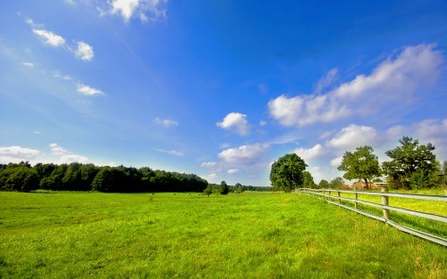 В Кадастровой палате Оренбургской области напомнили о важности установления границ участков