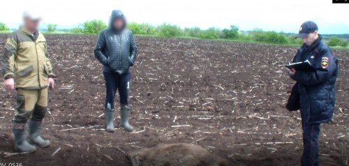 Дознавателем Октябрьского района направлено в суд уголовное дело по факту незаконной охоты с причинением крупного ущерба