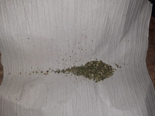 Матвеевскими полицейскими в рамках ОПМ «Мак» изъята марихуана Матвеевскими полицейскими в рамках ОПМ «Мак» изъята марихуана