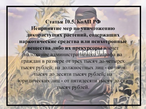 В Оренбургской области стартовал второй этап общероссийской антинаркотической акции «Сообщи, где торгуют смертью»