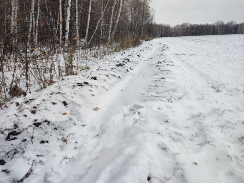 В Бугурусланском районе участковые выявили факт незаконной охоты. В Бугурусланском районе участковые выявили факт незаконной охоты.