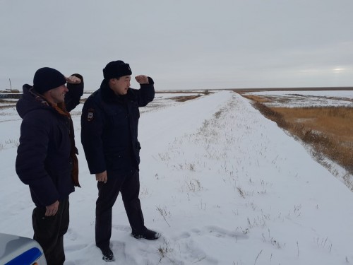 Сотрудники полиции Светлинского района вернули хозяйке 14 лошадей Сотрудники полиции Светлинского района вернули хозяйке 14 лошадей