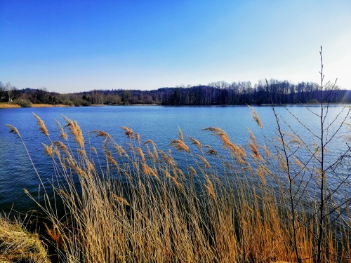 Свыше 6,5 тысячи зон с особыми условиями использования территории Оренбуржья внесены в госреестр недвижимости