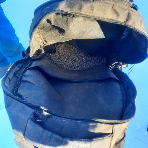 В Первомайском районе сотрудники полиции задержали подозреваемого в незаконном хранении марихуаны в крупных размерах