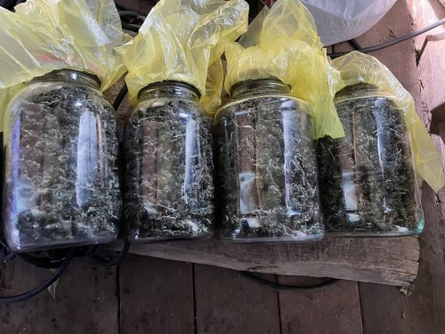 Оперативники Оренбургского района изъяли более килограмма марихуаны у жителя Краснохолма Оперативники Оренбургского района изъяли более килограмма марихуаны у жителя Краснохолма