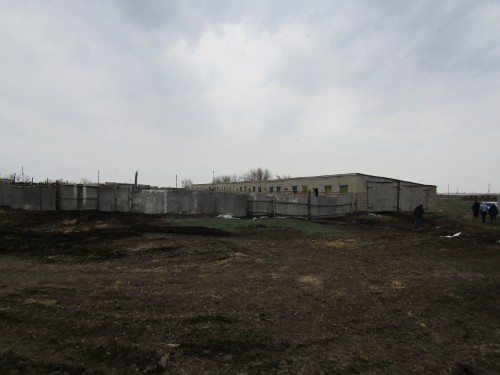 Первомайскими полицейскими по горячим следам задержан мужчина, совершивший кражу быка