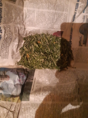 У пенсионера изъяли марихуану в крупном размере