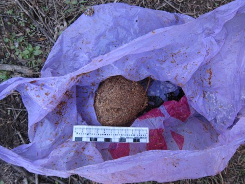 Более семи киллограм наркотиков собрал житель Кувандыкского района