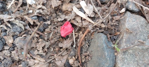 В Оренбурге полицейские задержали двух братьев- закладчиков, пытавшихся сбыть героин в крупном размере В Оренбурге полицейские задержали двух братьев- закладчиков, пытавшихся сбыть героин в крупном размере