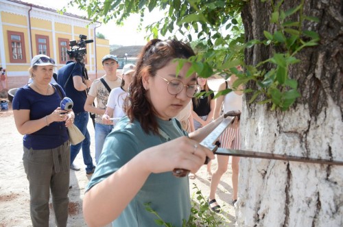 Деревья в Оренбурге придется отпилить, если не пройдут проверку