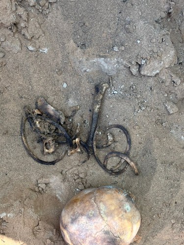 На Тоцком полигоне нашли останки человека