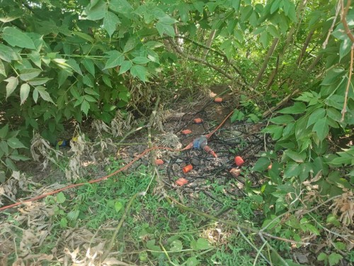 В Бугуруслане сотрудниками полиции задержаны двое мужчин, подозреваемых в хищении геофизического оборудования В Бугуруслане сотрудниками полиции задержаны двое мужчин, подозреваемых в хищении геофизического оборудования