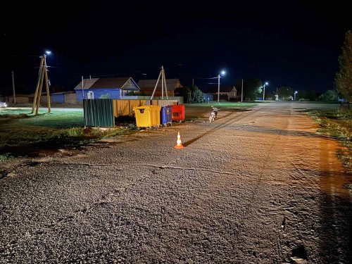 В селе Нижняя Павловка в ДТП пострадала девочка-пешеход