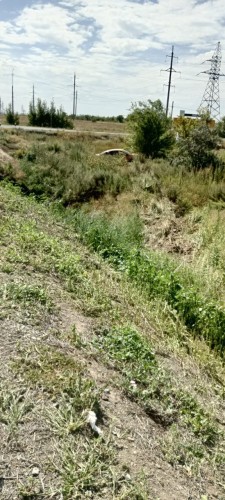 Сотрудники Госавтоинспекции МУ МВД России «Орское» устанавливают обстоятельства ДТП