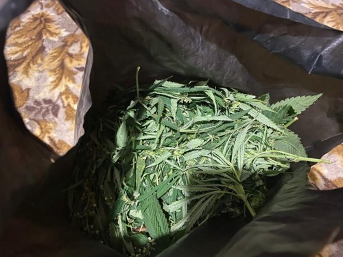 Полицейским Шарлыка задержан подозреваемый в незаконном обороте наркотических средств