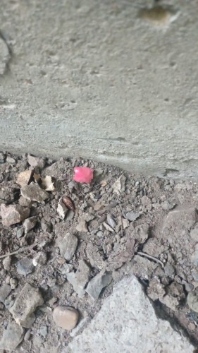 В Орске полицейские выявили дополнительные факты попытки незаконного сбыта наркотических средств