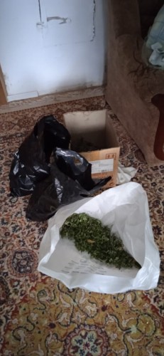 Крупную партию запрещенного вещества и оружие с патронами обнаружили полицейские в Октябрьском районе