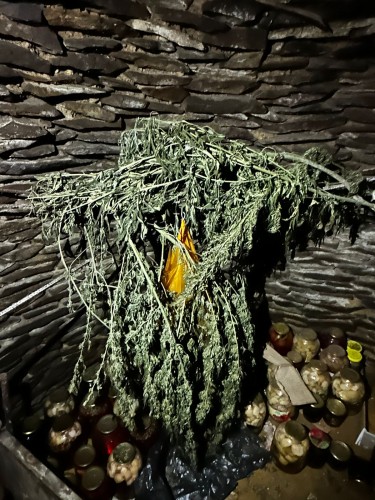 Житель Первомайского района предстанет перед судом за незаконное хранение марихуаны в крупных размерах Житель Первомайского района предстанет перед судом за незаконное хранение марихуаны в крупных размерах