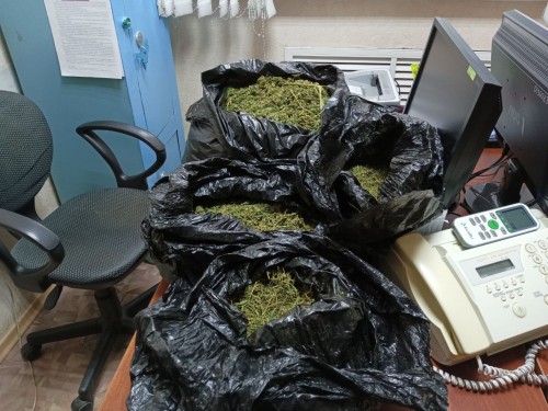 Следователем следственной группы Отд МВД России по Октябрьскому району окончено уголовное дело о незаконном приобретении и хранении почти 4 кг наркотического средства Следователем следственной группы Отд МВД России по Октябрьскому району окончено уголовное дело о незаконном приобретении и хранении почти 4 кг наркотического средства