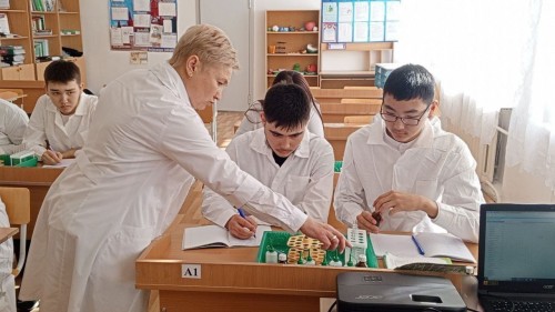 В центрах «Точка роста» Оренбургской области прошла онлайн-неделя химии