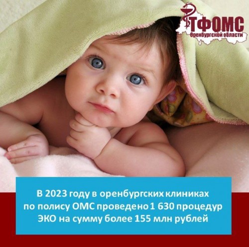 В Оренбуржье в прошлом году сделали 1630 процедур ЭКО 