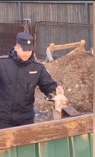 В связи со сложившейся чрезвычайной ситуацией сотрудники МУ МВД России «Оренбургское» продолжают нести службу в зонах затопления