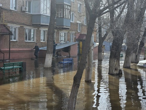 В четырехтажном доме на улице Потехина произошло обрушение пристройки спуска в подвал В четырехтажном доме на улице Потехина произошло обрушение пристройки спуска в подвал
