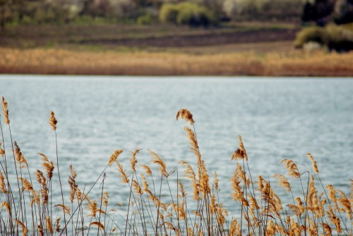 В Оренбуржье в ЕГРН внесены 900 зон с особым условиями использования территории В Оренбуржье в ЕГРН внесены 900 зон с особым условиями использования территории